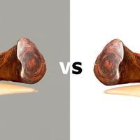 手工木质笔 vs 传统金属笔？86位用户真实体验告诉你答案