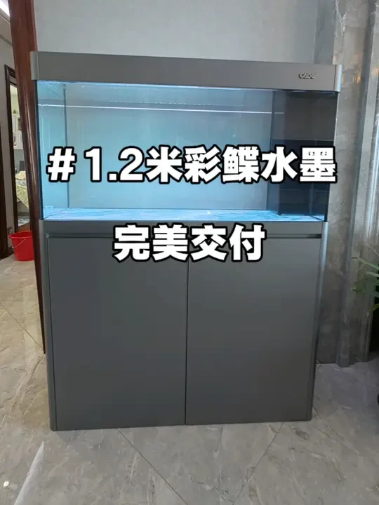 #彩鲽鱼缸 #空气缸 #鱼缸过滤 1.2米水墨颜值在线