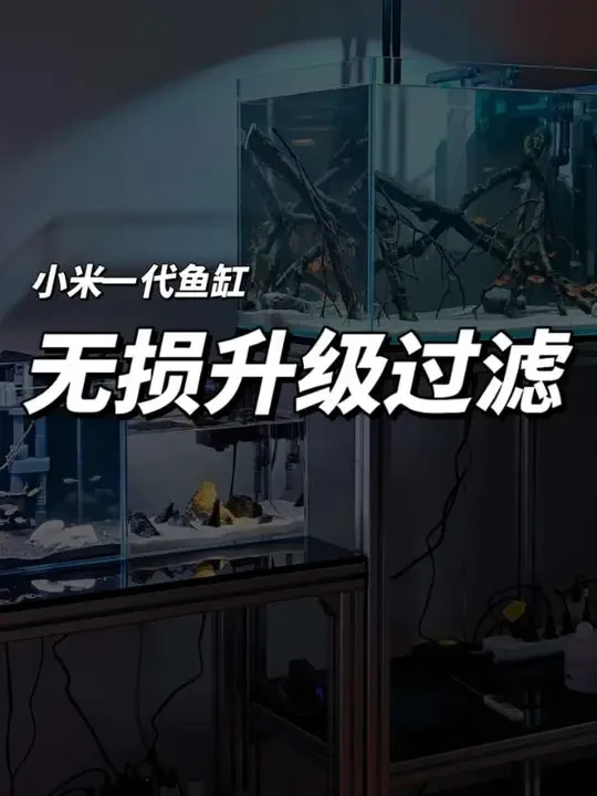 小米一代智能鱼缸，无损升级过滤#养鱼日记 #养鱼养心 #水族 #小米鱼缸 #新手养鱼