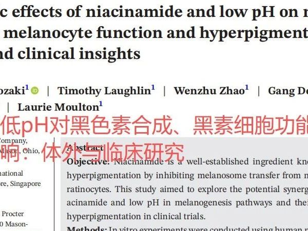 成分党丨烟酰胺配合这个关键因素，淡斑效果加成！