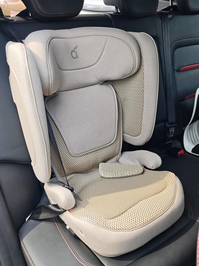 两只兔子探知  大童安全座椅