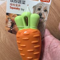 狗狗的新年礼物🎁 被夸爆了