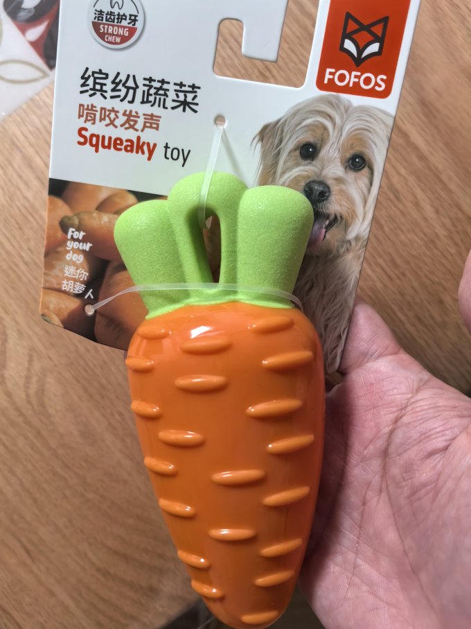 两只福狸狗飞盘