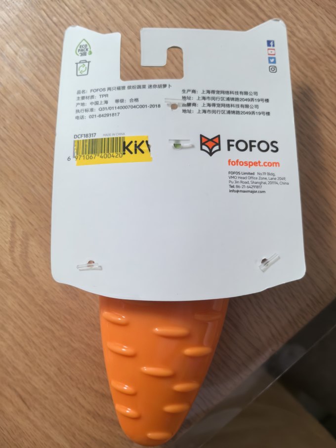 两只福狸狗飞盘