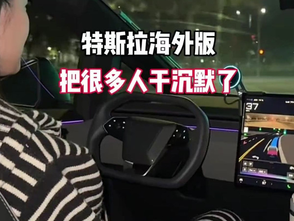 国外特斯拉FSD+Grok智能语音助手 实录