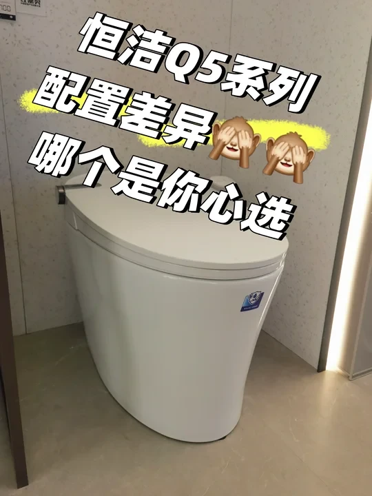 最近爆火的恒洁Q5-2p系列智能马桶，它来了