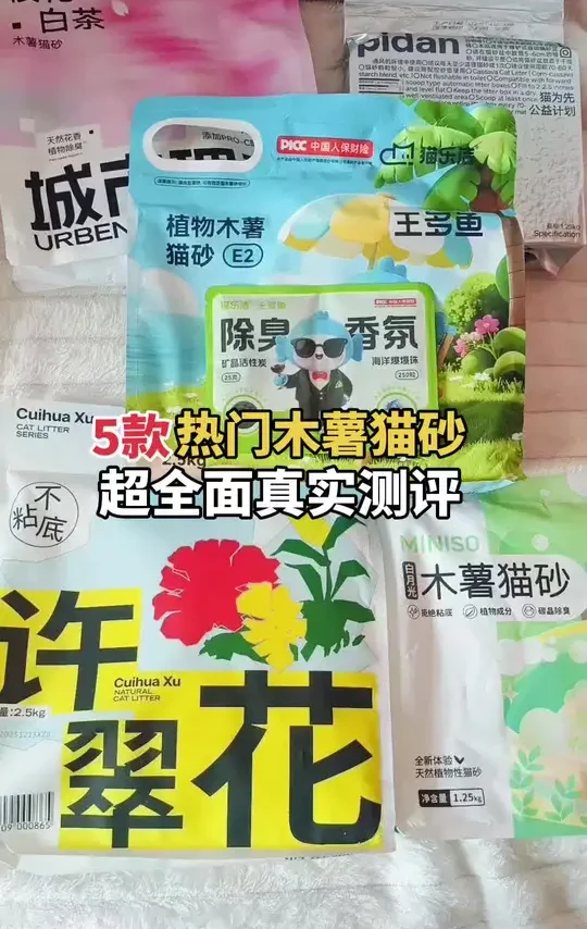 5款木薯猫砂真实测评，去除粉尘大的，结团差的，哪款可以入#猫砂#木薯猫砂#猫砂测评#木薯猫砂测评#养猫好物