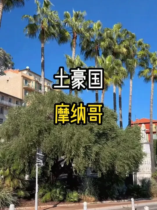 #罐头瓶子在荷兰 #旅游 #摩纳哥