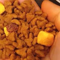 大型犬喂养刚需！力狼鸭肉梨狗粮，40斤大容量喂出健康体态