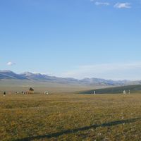 遥控精灵APP(手机家电遥控器)