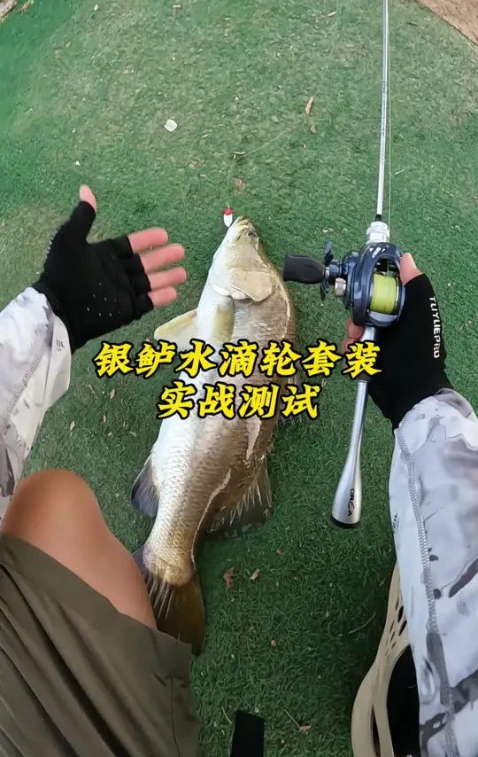 百元水滴轮套装挑战巨物 澳卡银鲈路亚套装，竿轮线饵一套给你配齐了，到手可以直接玩，还发顺丰快递#路亚 #路亚新手 #路亚装备搭配 #路亚钓鱼 #路亚装备推荐