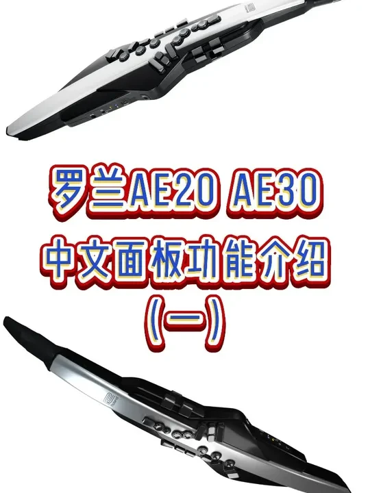 罗兰AE20 30中文面板所有功能介绍一 #电吹管 #罗兰ae20 #罗兰ae30 #功能调节