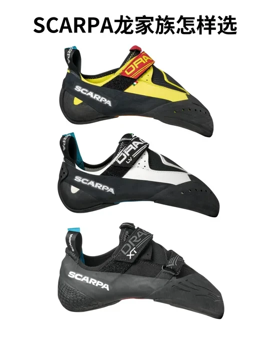 Scarpa 龙系列怎样选？