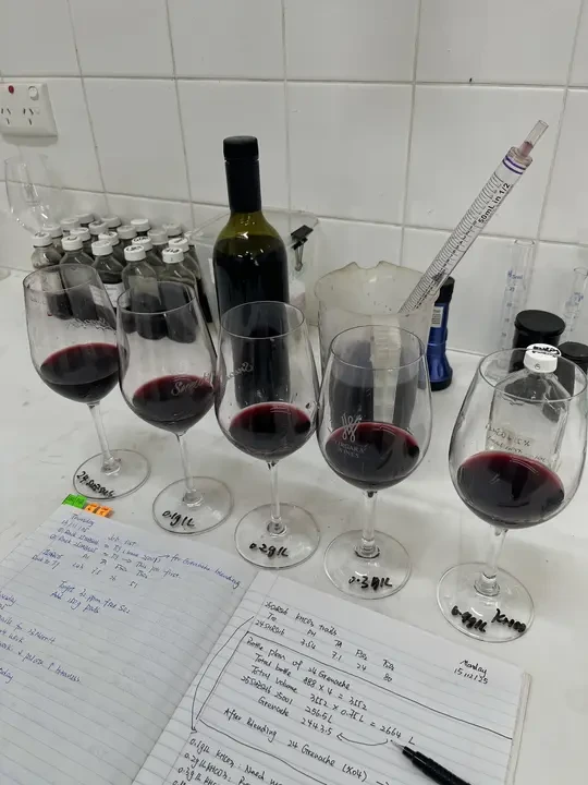 酿酒师日常 25年最后一个混酿🍷