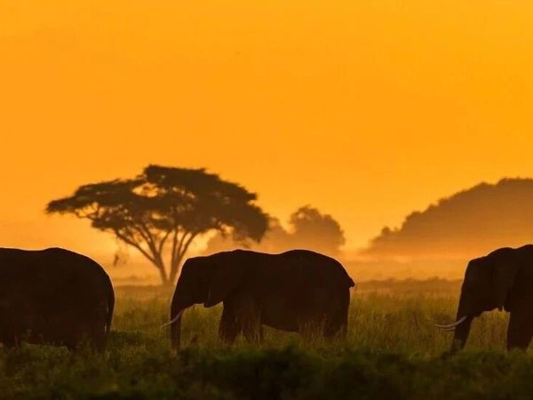 电脑游戏是养成还是陷阱？我的育儿观察