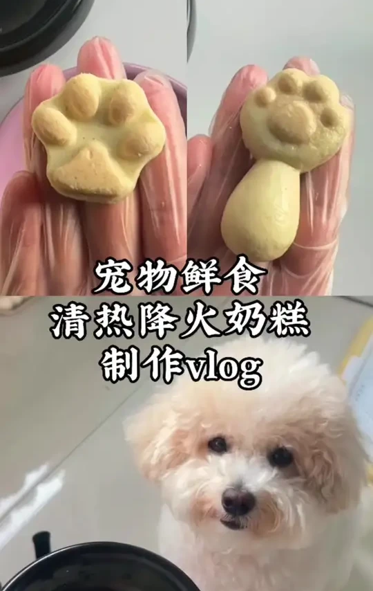 猫猫狗狗都适合的秋季补水降火奶糕 #猫猫狗狗 #自制猫饭 #自制狗饭 #宠物零食分享
