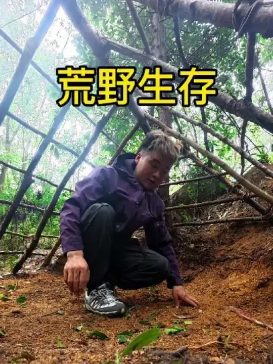 荒野生存第一天庇护所搭建
           #户外#荒野生存#原创作品