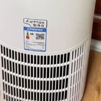 宠物空气净化器吸猫毛哪个牌子好？10大款式推荐，选购不踩坑！