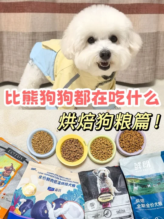 比熊狗狗都在吃什么之烘焙狗粮篇