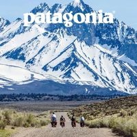 Patagonia是环保先锋还是营销高手？2000+用户观点大碰撞