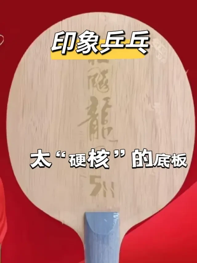 乒乓器械测评底板篇No.45 红双喜龙5h