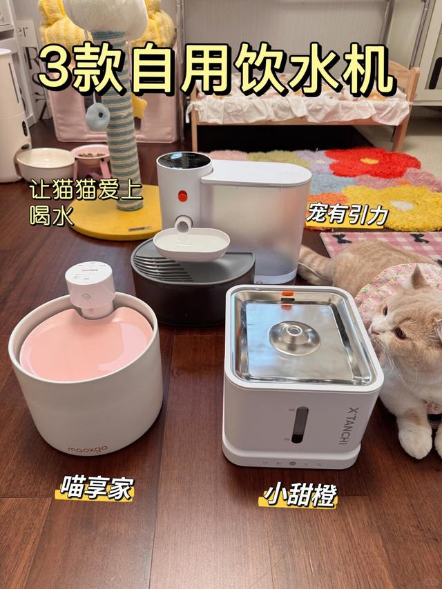 三款自用宠物饮水机测评❗均为自用
