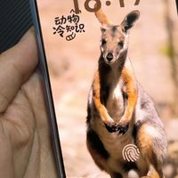 元旦双国补,3849拿下荣耀500pro 16+1TB顶配版