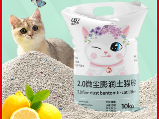 养猫好物：猫砂选对，铲屎无忧