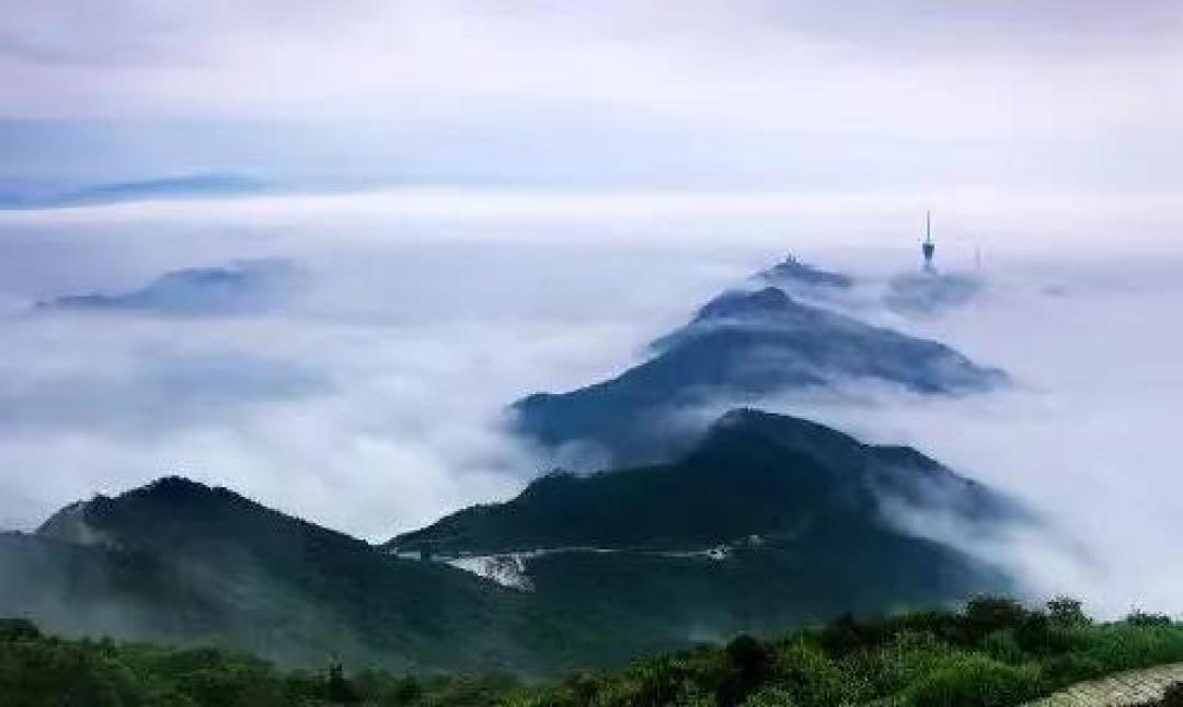 夜爬梧桐山奔赴金色云海,这份保姆级登顶攻略请收好