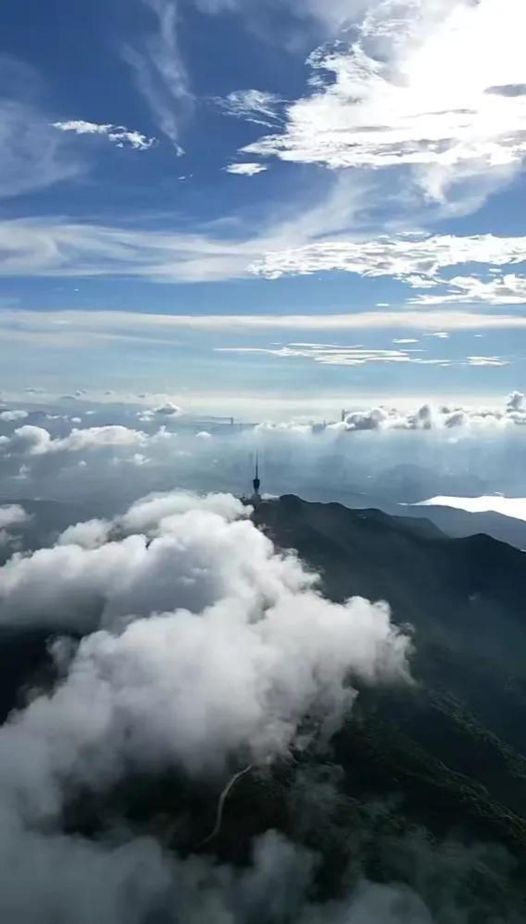 夜爬梧桐山奔赴金色云海，这份保姆级登顶攻略请收好