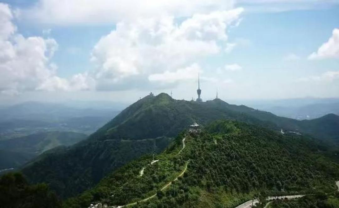 夜爬梧桐山奔赴金色云海,这份保姆级登顶攻略请收好