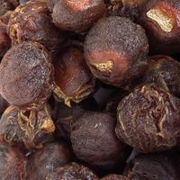 塞翁福桂圆干：肉厚核小的冬日滋补佳品