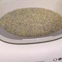 宜宝自动猫砂盆：一个“铲屎官”的科技解放初体验！