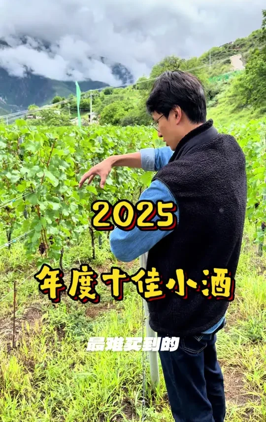 2025 年度小酒 #葡萄酒 #葡萄酒知识