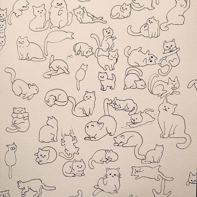 猫咪速写适合零基础入门吗？327+用户观点大PK