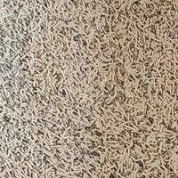 多猫家庭猫砂怎么选？三款Pidan砂横向对比