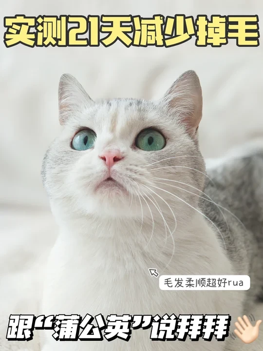 磷虾鱼油选它！21天实测掉毛少了！