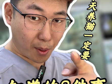 冬天养猫一定要知道的8件事