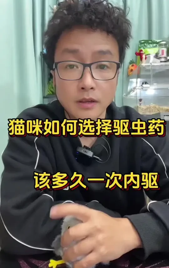 猫咪驱虫该如何选择？ 猫咪内驱如何选择驱虫药，猫咪该多久驱一次虫？#宠物知识 #新手养猫 #猫咪日常#科学养猫 #养猫人
