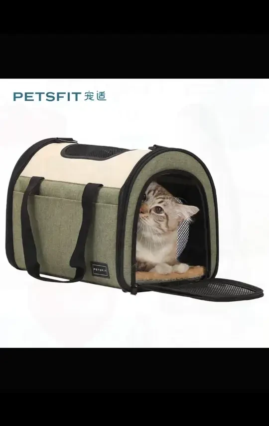 【宠适PETSFIT】猫包手提包大空间猫咪狗狗背包狗猫包宠物必备物品#宠物猫包 #大空间猫包 #宠适猫包 #宠物背包 #宠物出行