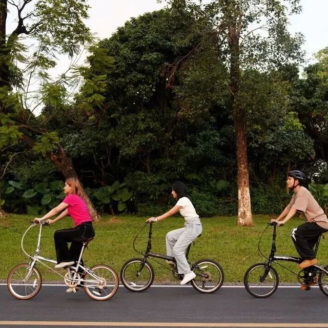 京东京造F8 vs 大行P8？127位用户真实体验告诉你答案