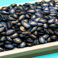 最好的零食时代3：黑瓜子品牌