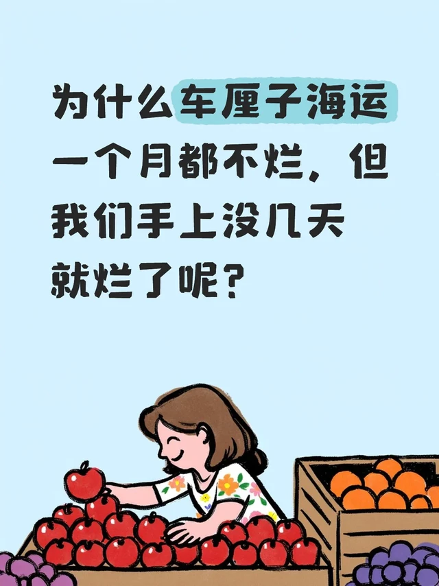 🍒为什么车厘子海运一个月都不烂？