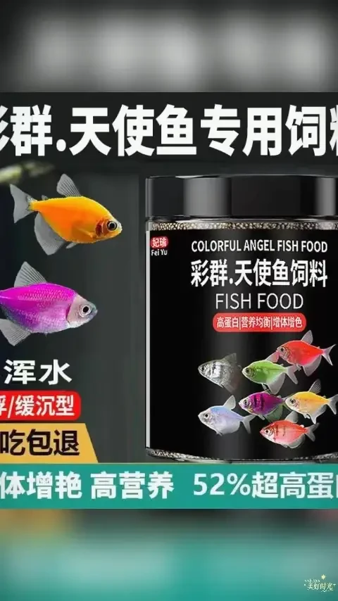 鱼食彩裙鱼七彩鱼天使鱼粮群游小颗粒孔雀鱼小型鱼热带观赏鱼饲料#鱼食 #小型热带鱼饲料 #观赏鱼粮 #水族食品 #热带鱼喂养