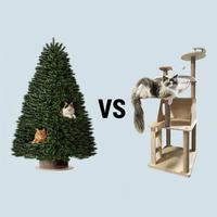 DIY圣诞树猫爬架 vs 市售猫爬架？我们汇总了127位养猫人的真实体验