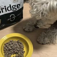 双旦好物｜麦富迪鲜肉粮，干爽不油营养还足