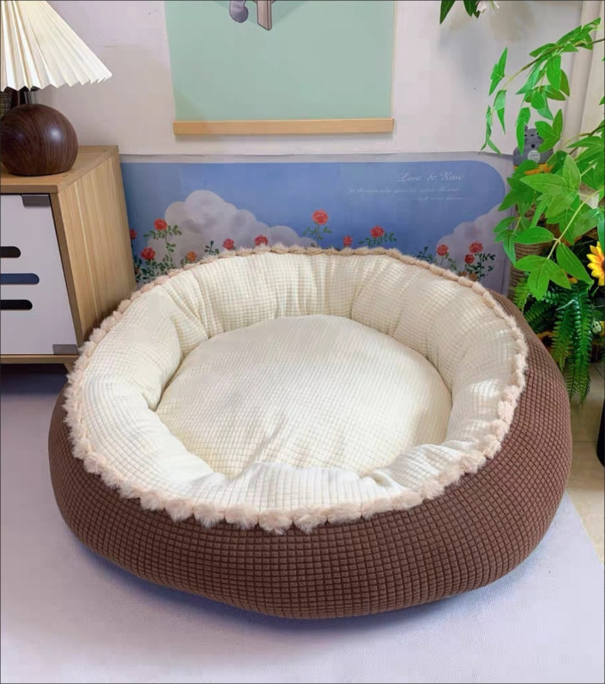 猫狗窝