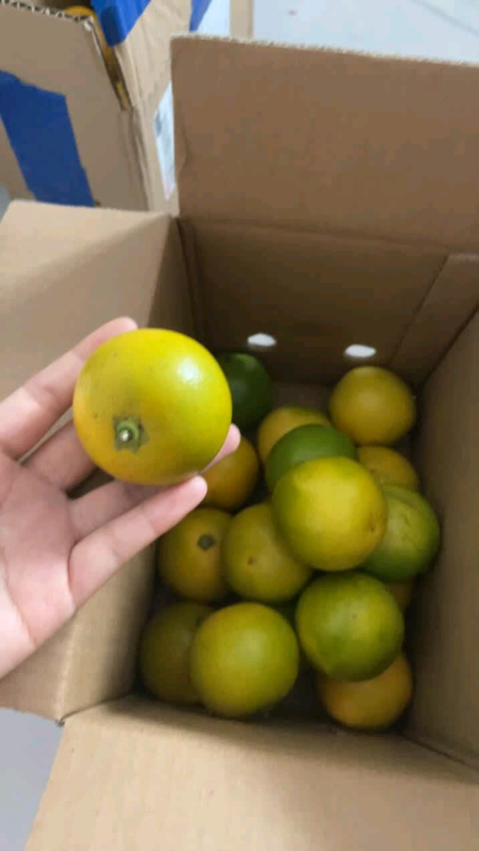 新鲜水果