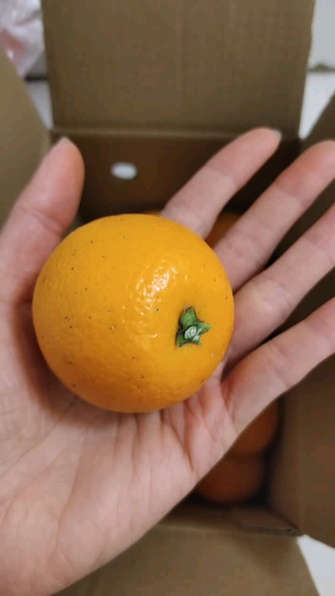 新鲜水果