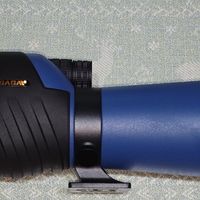 为了观察候鸟，我买了一个萨迦观鸟镜（附选购指南）